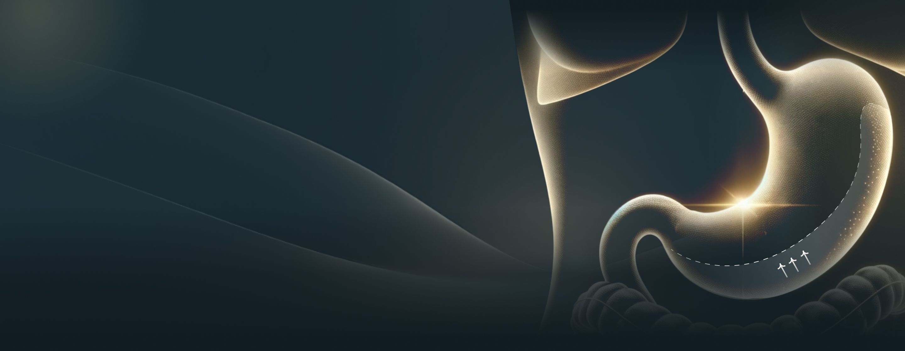 An illustration of a tightened stomach.